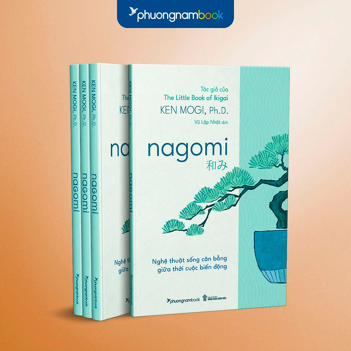 Sách Nagomi - Nghệ Thuật Sống Cân Bằng Giữa Thời Cuộc Biến Động