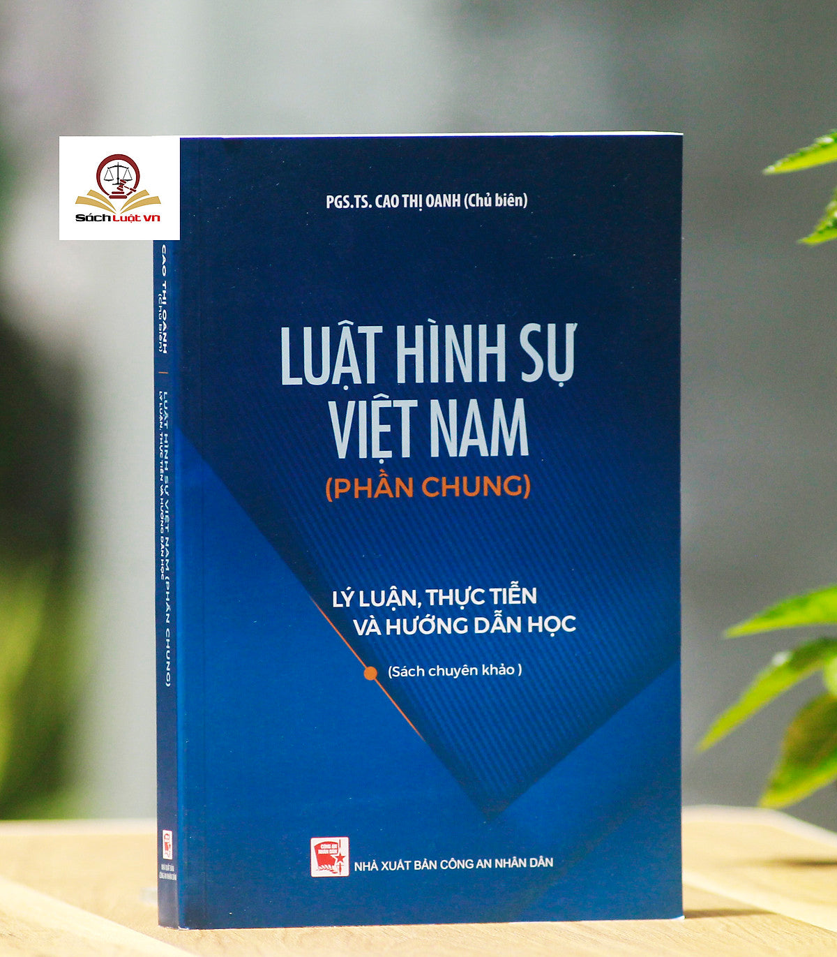Luật Hình Sự Việt Nam (Phần Chung)- Lý Luận, Thực Tiễn Và Hướng Dẫn Học