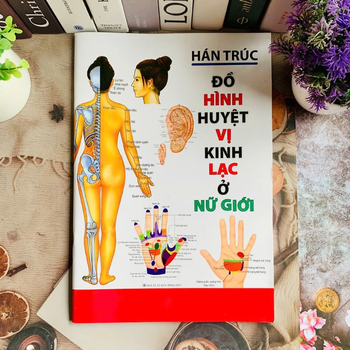 Sách - Đồ Hình Huyệt Vị Kinh Lạc Ở Nữ Giới - Tác Giả Hán Trúc - Nxb Hồng Đức - Minh Lâm