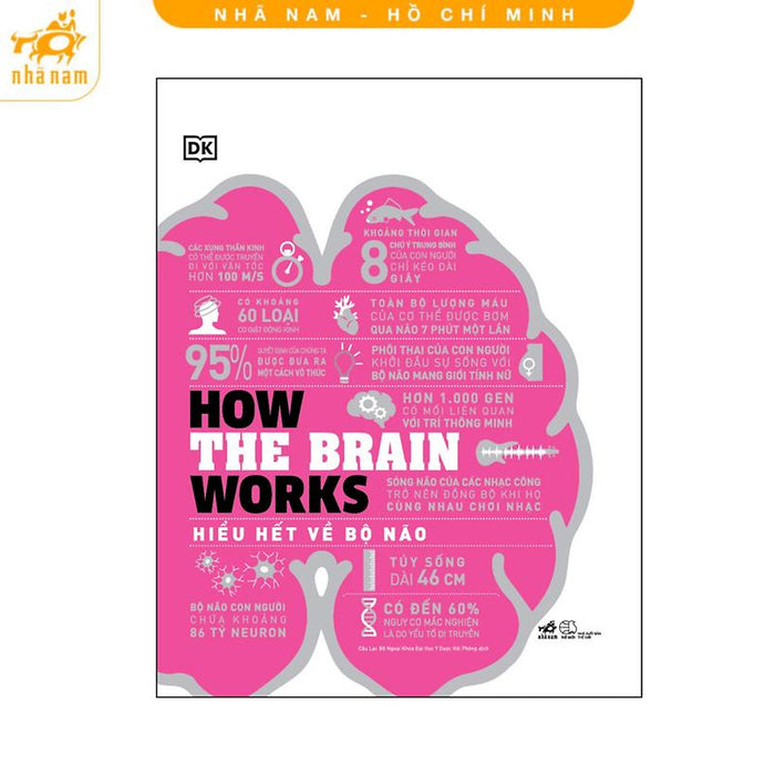 Sách - Hiểu Hết Về Bộ Não (How The Brain Works) (Nhã Nam Hcm)