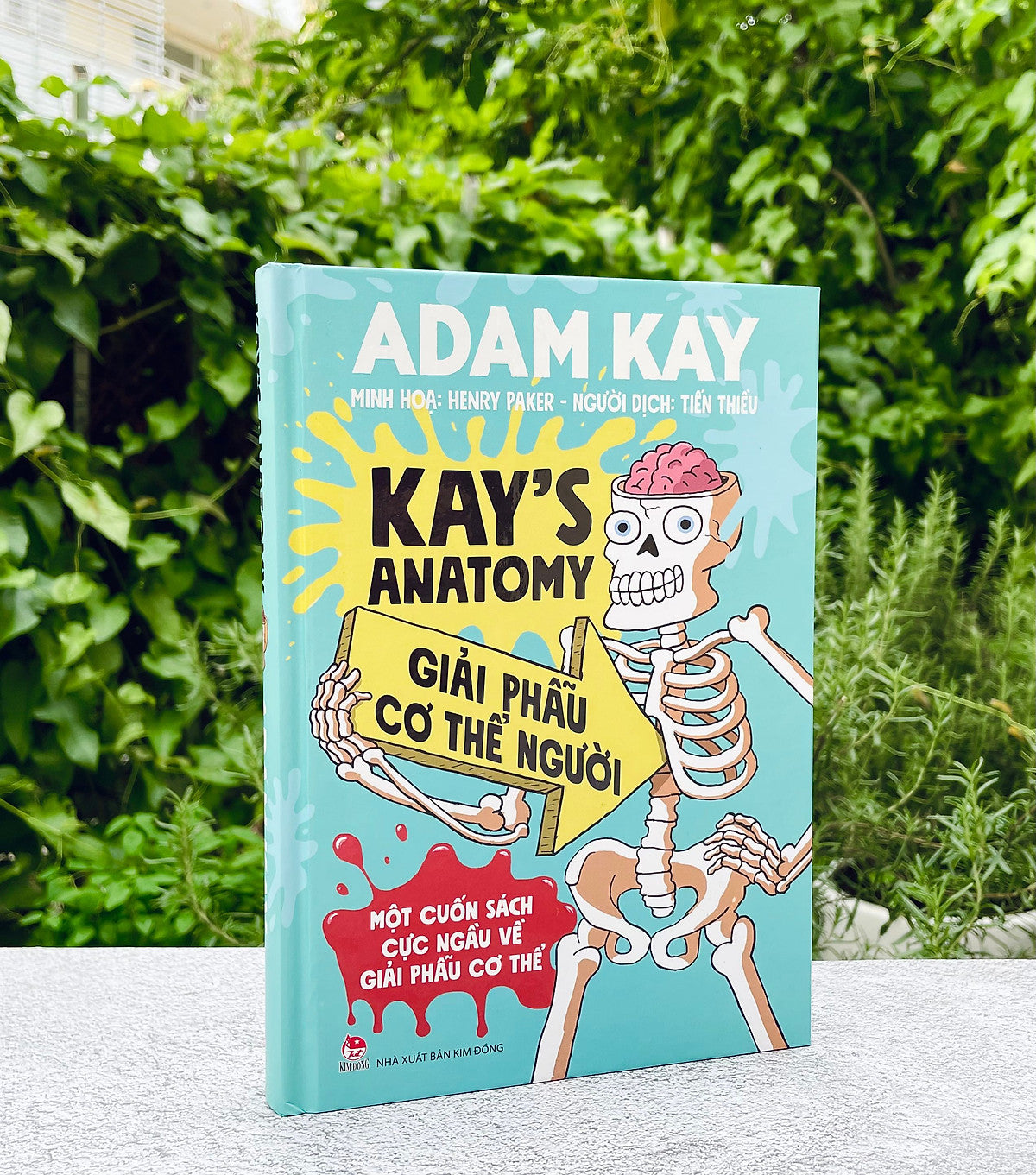 Sách - Kay'S Anatomy - Giải Phẫu Cơ Thể Người - Bìa Cứng
