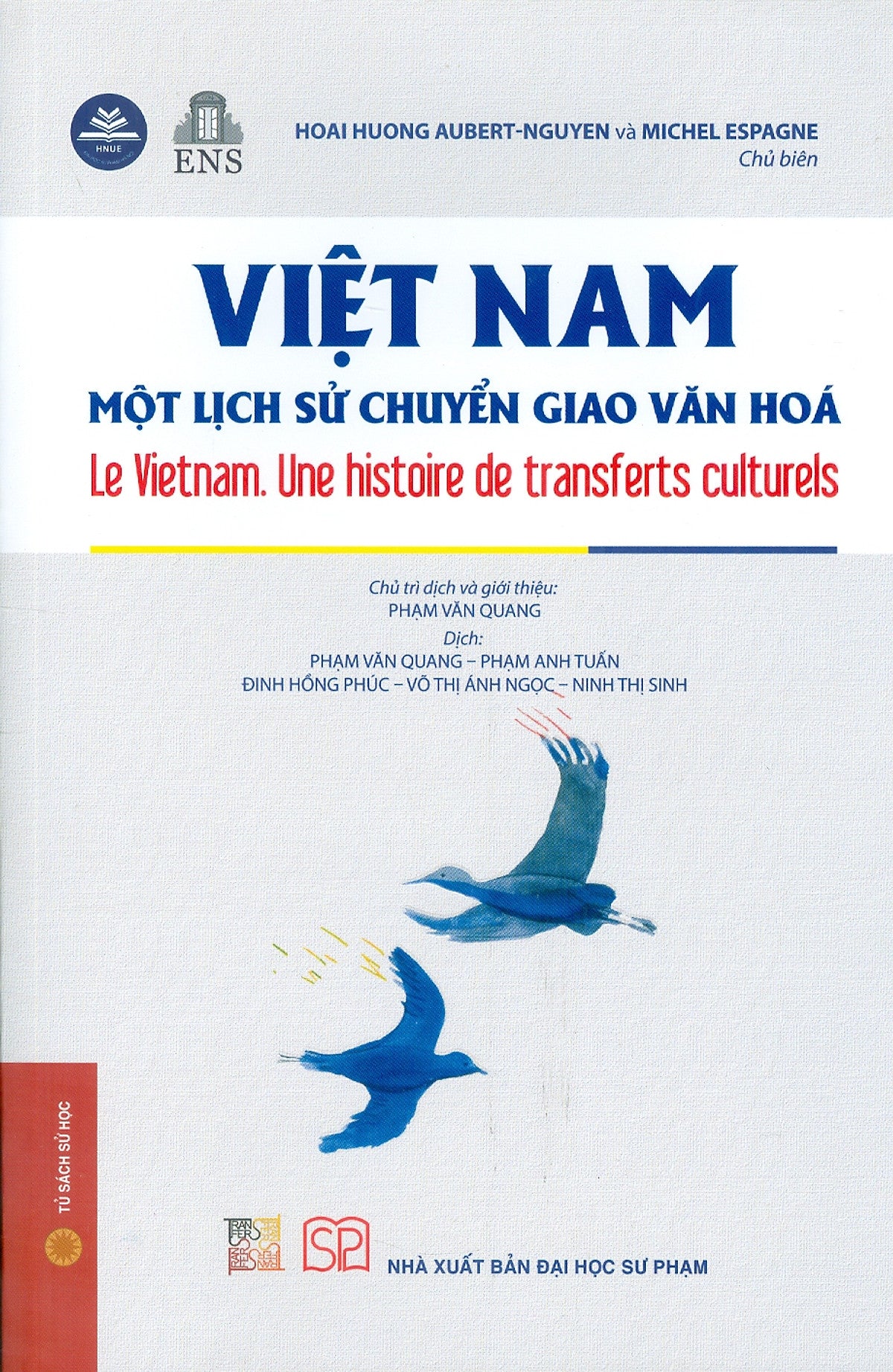 Việt Nam Một Lịch Sử Chuyển Giao Văn Hoá (Bìa Mềm)