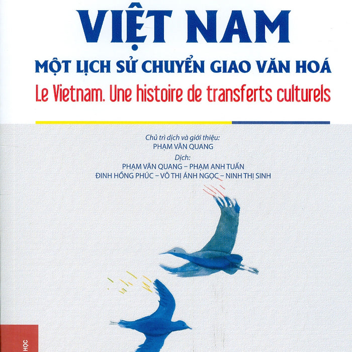 Việt Nam Một Lịch Sử Chuyển Giao Văn Hoá (Bìa Mềm)
