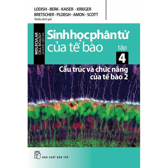 Sinh Học Phân Tử Của Tế Bào 04 - Cấu Trúc Và Chức Năng Của Tế Bào 2 - Bản Quyền