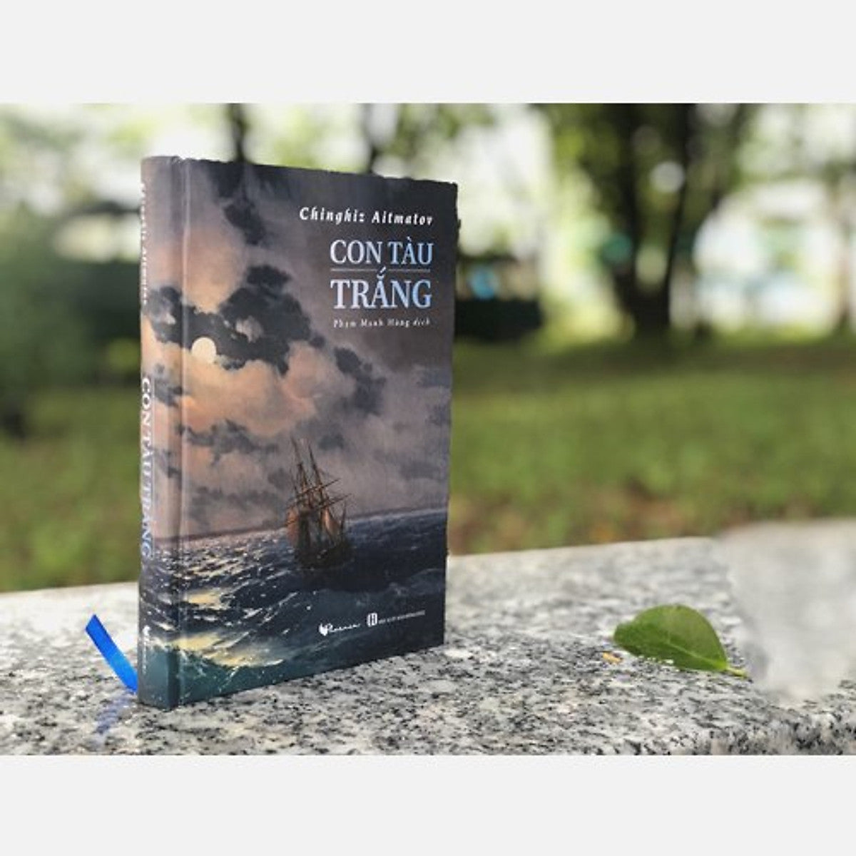Con Tàu Trắng