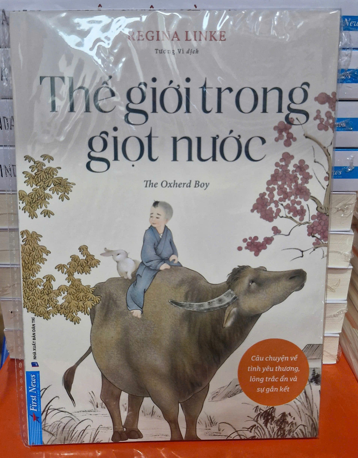 Thế Giới Trong Giọt Nước - Regina Linke - Tường Vi Dịch  - First News