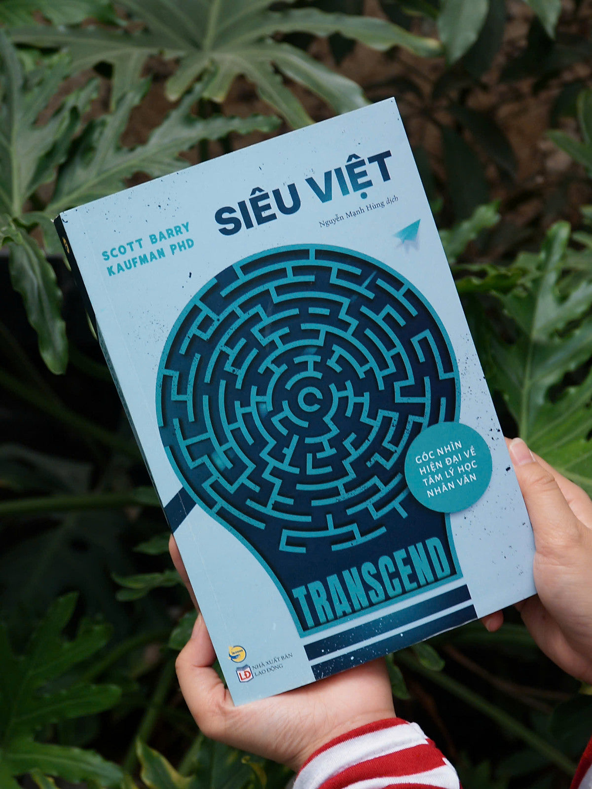 Sách - Siêu Việt (Transcend) - Góc Nhìn Hiện Đại Về Tâm Lý Học Nhân Văn - Scott Barry Kaufman Phd