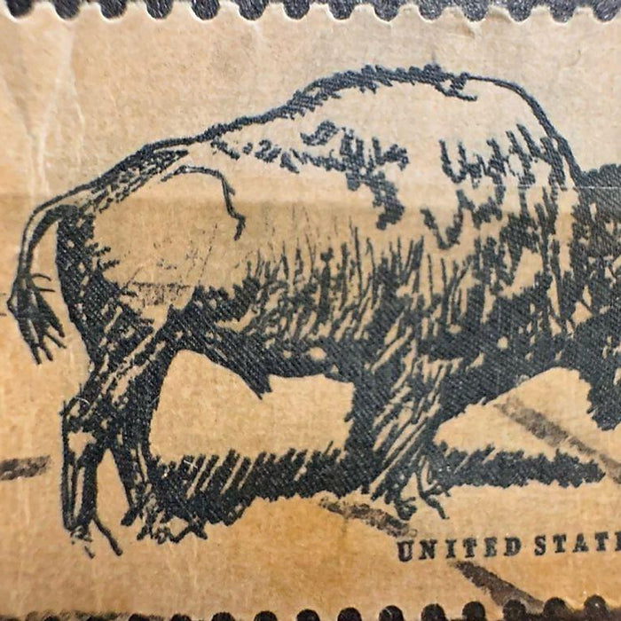 Tem Wildlife Conservation 1970 – Bò Rừng Bison