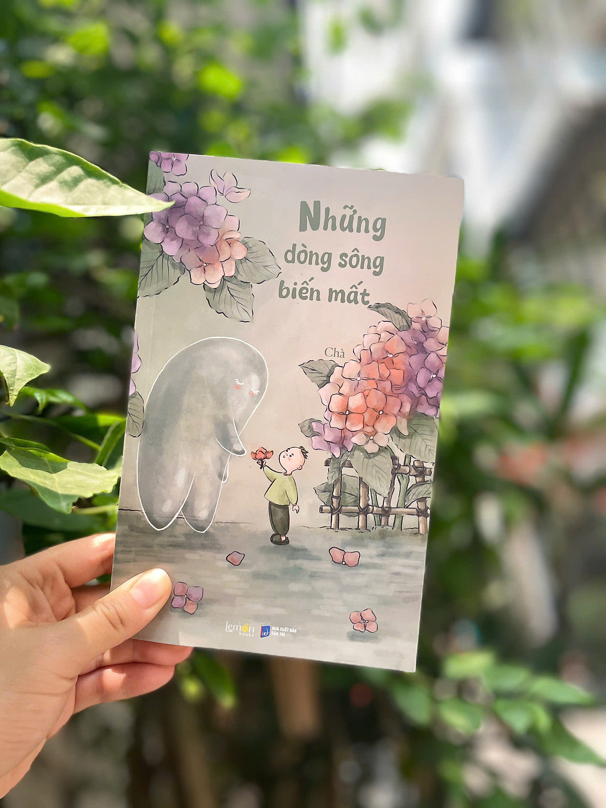 Sách Tản Văn - Những Dòng Sông Biến Mất - Bách Việt