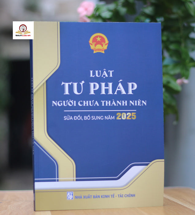 Luật Tư Pháp Người Chưa Thành Niên (Sửa Đổi, Bổ Sung Năm 2025)