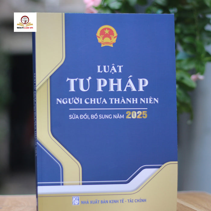 Luật Tư Pháp Người Chưa Thành Niên (Sửa Đổi, Bổ Sung Năm 2025)