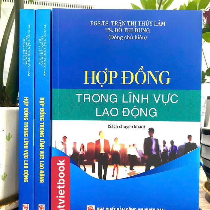 Hợp Đồng Trong Lĩnh Vực Lao Động