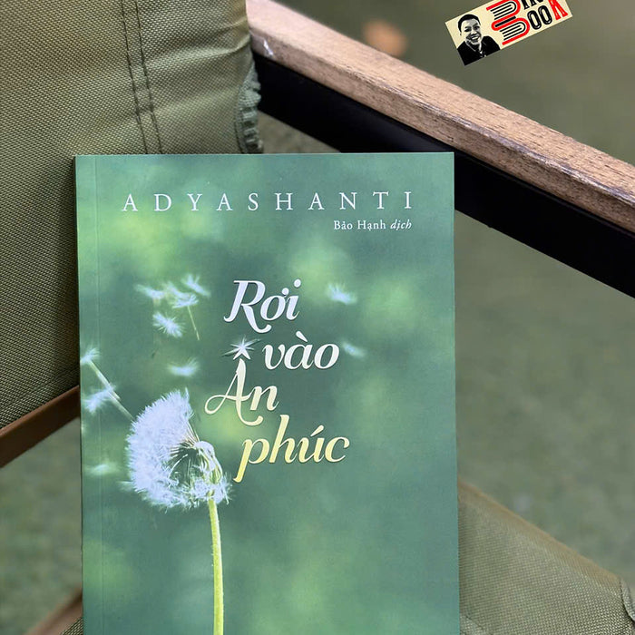 Rơi Vào Ân Phúc - Adyashanti  - Thiện Tri Thức