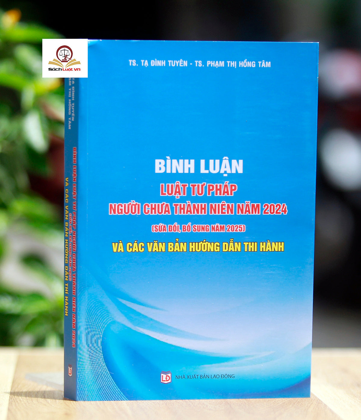 Bình Luận Luật Tư Pháp Người Chưa Thành Niên Năm 2024 (Sửa Đổi, Bổ Sung Năm 2025) Và Các Văn Bản Hướng Dẫn Thi Hành