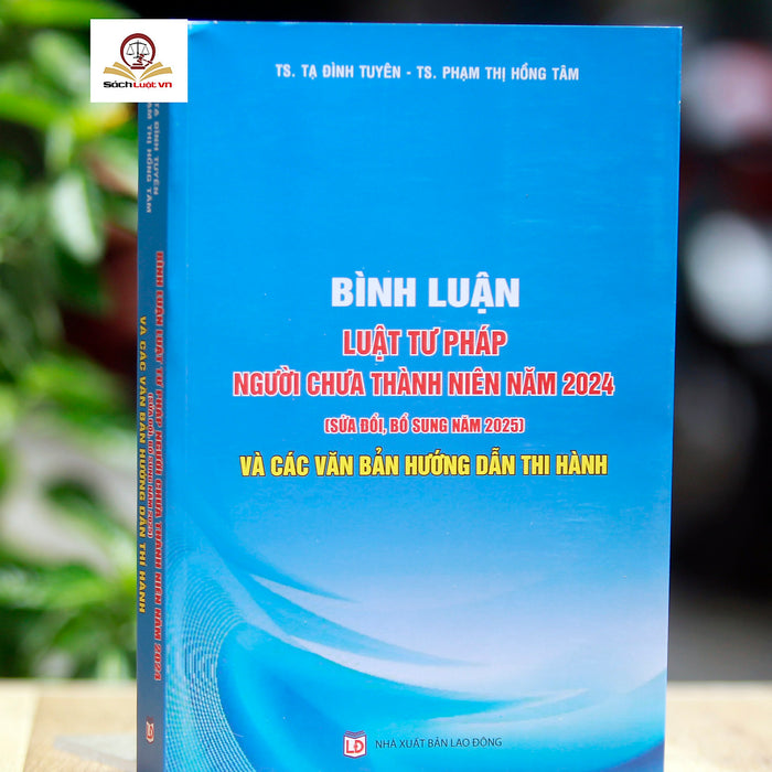 Bình Luận Luật Tư Pháp Người Chưa Thành Niên Năm 2024 (Sửa Đổi, Bổ Sung Năm 2025) Và Các Văn Bản Hướng Dẫn Thi Hành