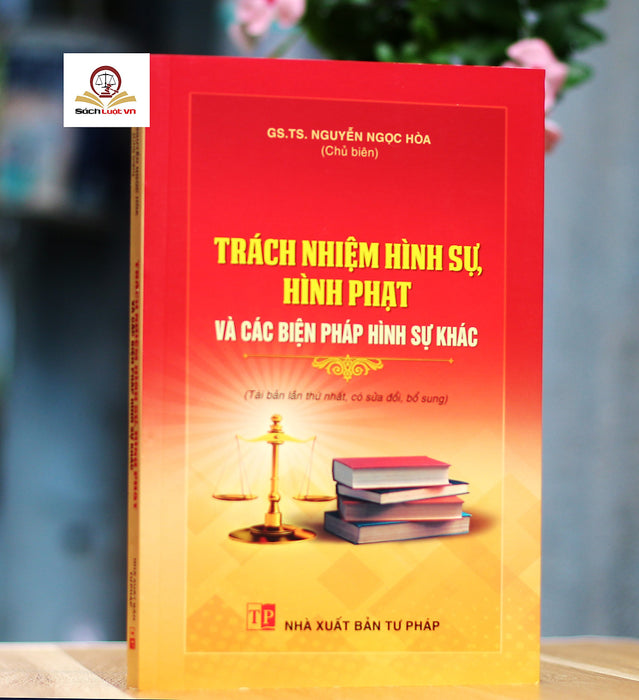 Trách Nhiệm Hình Sự, Hình Phạt Và Các Biện Pháp Hình Sự Khác
