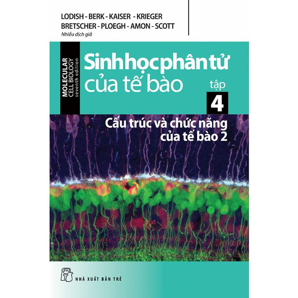 Sách - Sinh Học Phân Tử Của Tế Bào 04: Cấu Trúc Và Chức Năng Của Tế Bào (Phần 2)