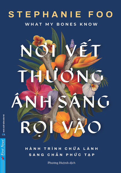 Sách Nơi Vết Thương Ánh Sáng Rọi Vào - First News
