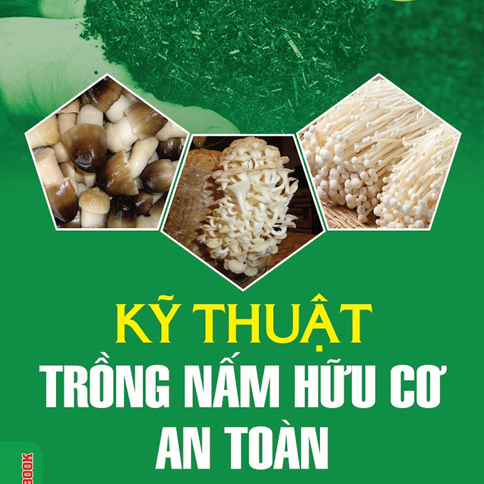 Kỹ Thuật Trồng Nấm Hữu Cơ An Toàn (Tái Bản 2026)