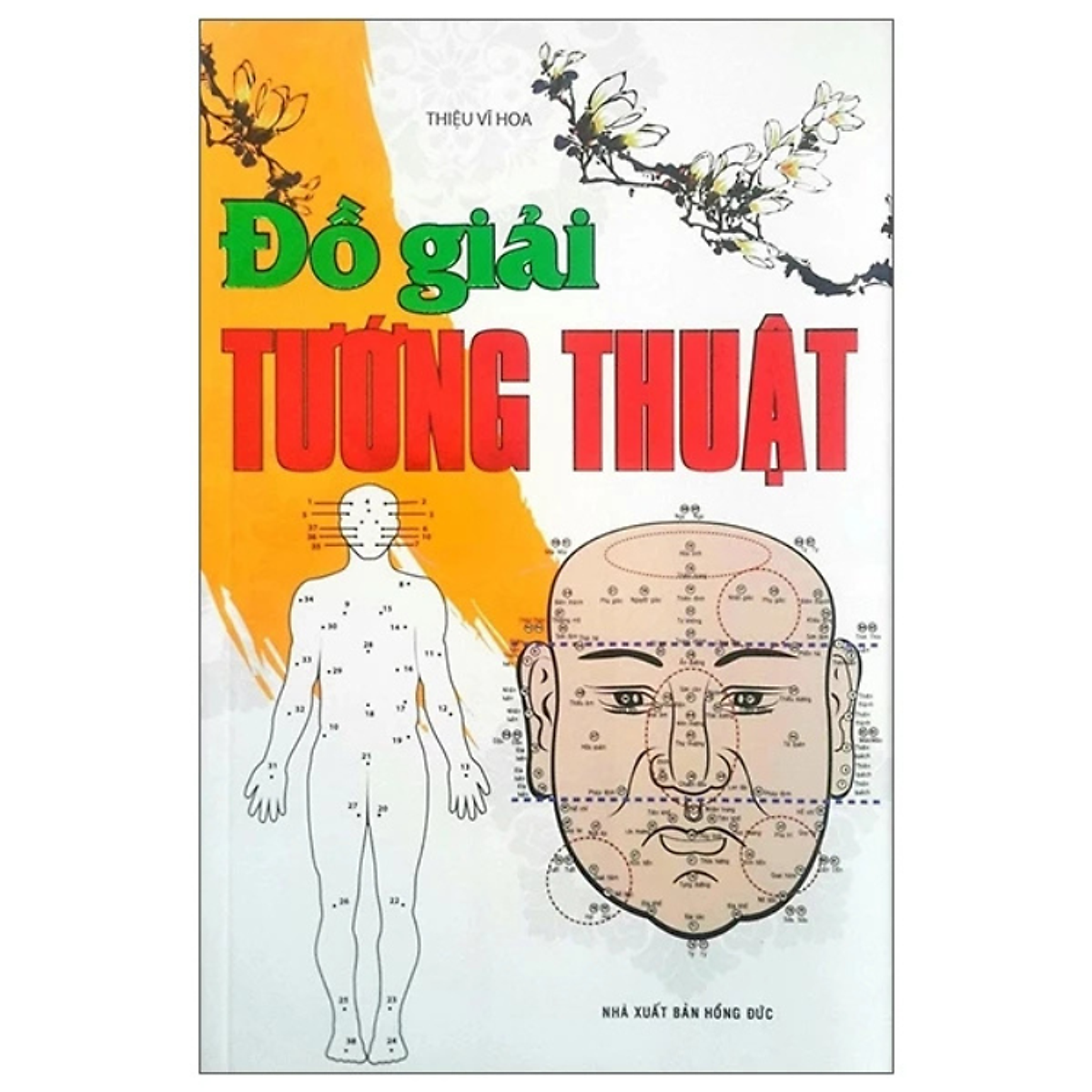 Sách - Đồ Giải Tướng Thuật - Thiệu Vĩ Hoa - Nxb Hồng Đức - Minh Lâm
