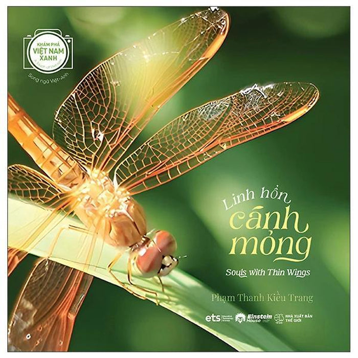 Linh Hồn Cánh Mỏng - Souls With Thin Wings - Song Ngữ Việt-Anh - Bản Quyền
