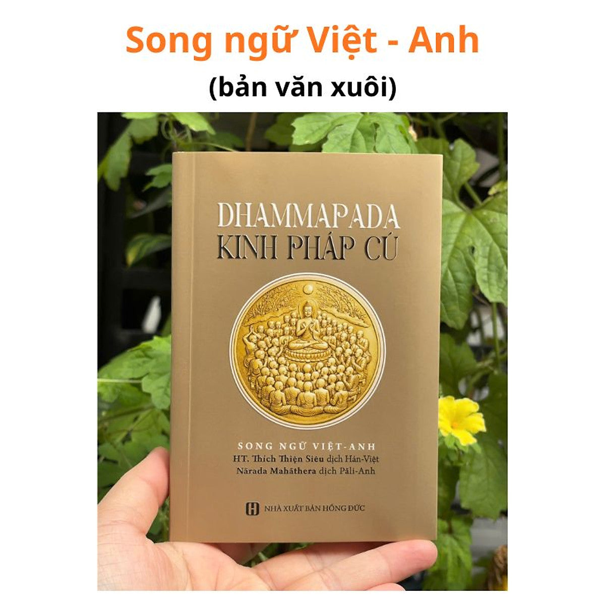 Kinh Pháp Cú - Song Ngữ Việt - Anh (Bản Văn) - Ht. Thích Thiện Siêu
