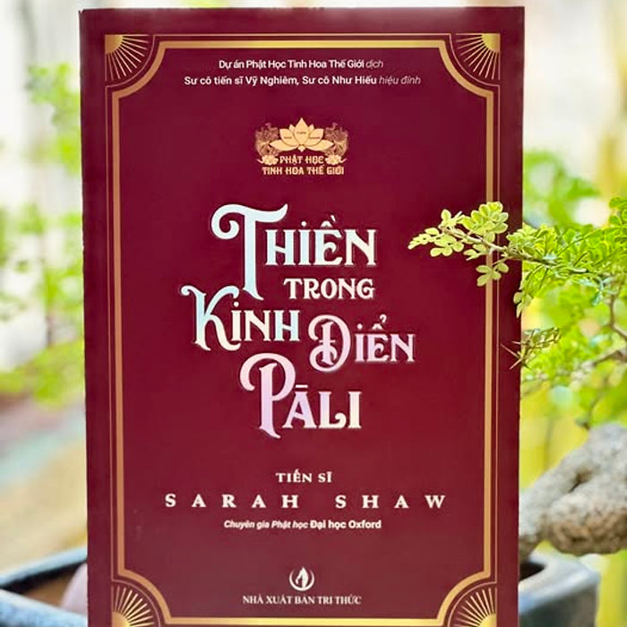 Thiền Trong Kinh Điển Pali