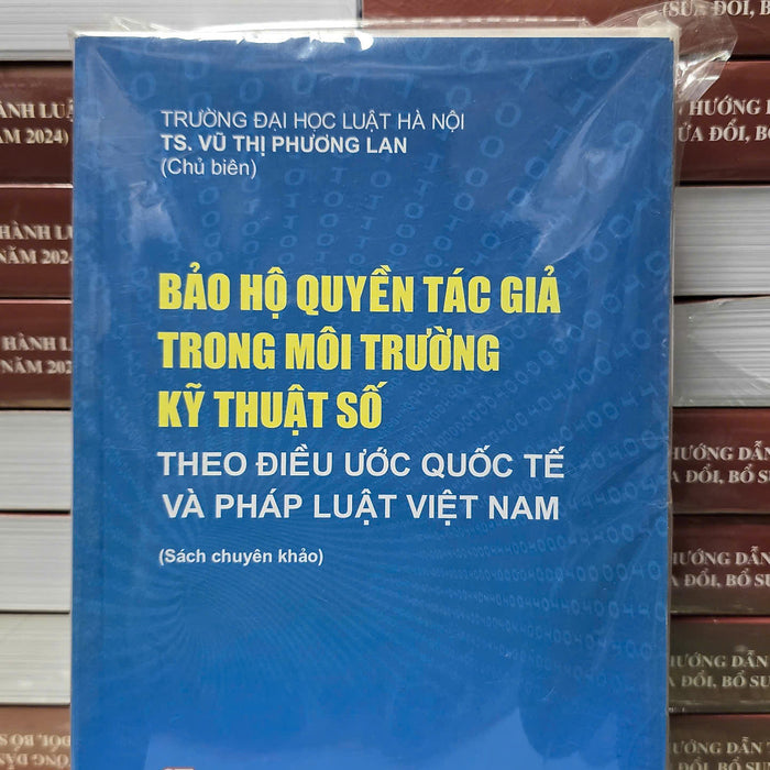 Bảo Hộ Quyền Tác Giả Trong Môi Trường Kỹ Thuật Số Theo Điều Ước Quốc Tế Và Pháp Luật Việt Nam (Sách Chuyên Khảo)