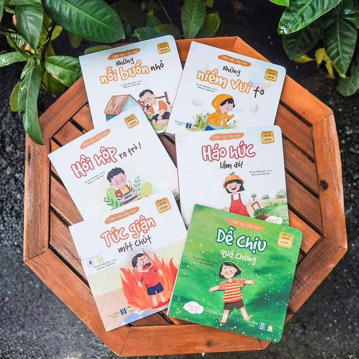 Bộ 6 Cuốn 