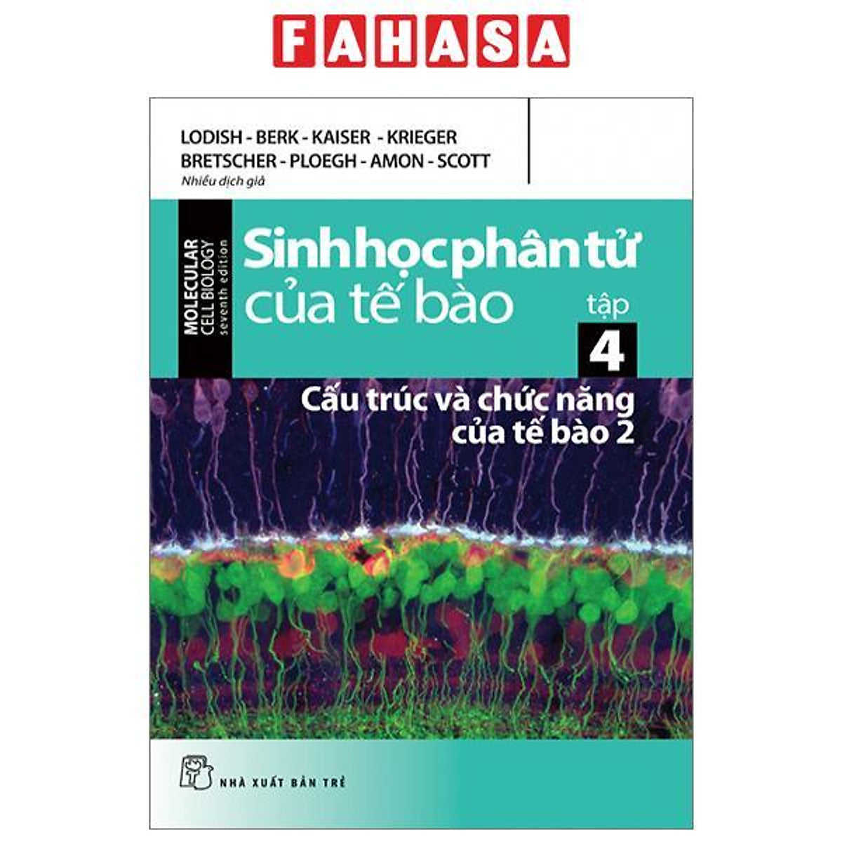 Sinh Học Phân Tử Của Tế Bào - Tập 4 - Cấu Trúc Và Chức Năng Của Tế Bào 2 (Tái Bản 2024)