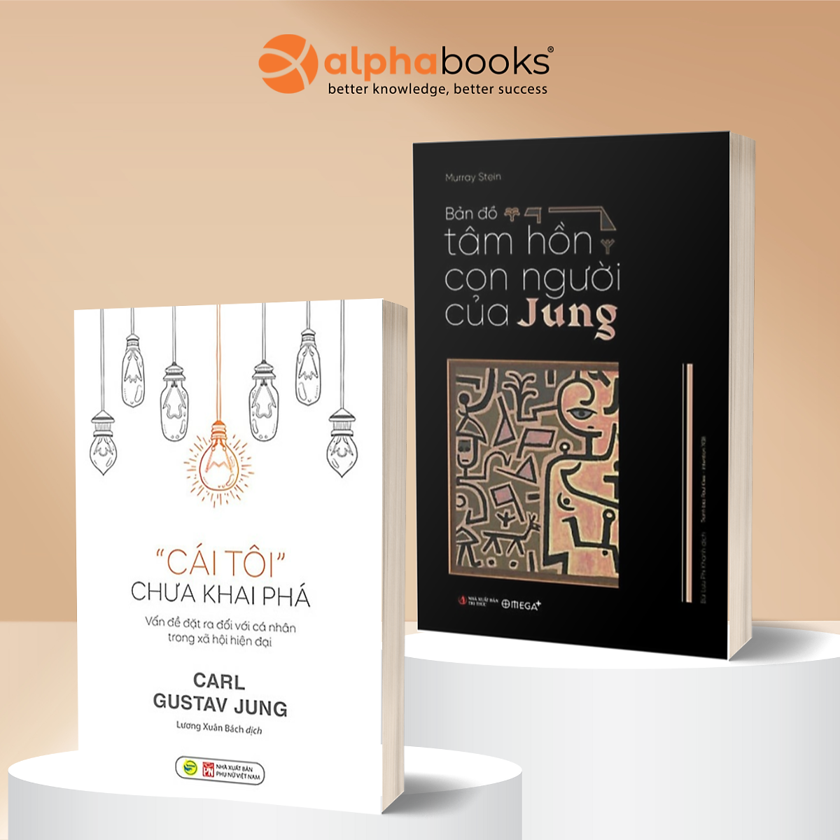 Bộ Sách Kinh Điển Khai Phá Nội Tâm Cùng Carl Jung: Bản Đồ Tâm Hồn Con Người Của Jung + Cái Tôi Chưa Khai Phá - Bách Việt