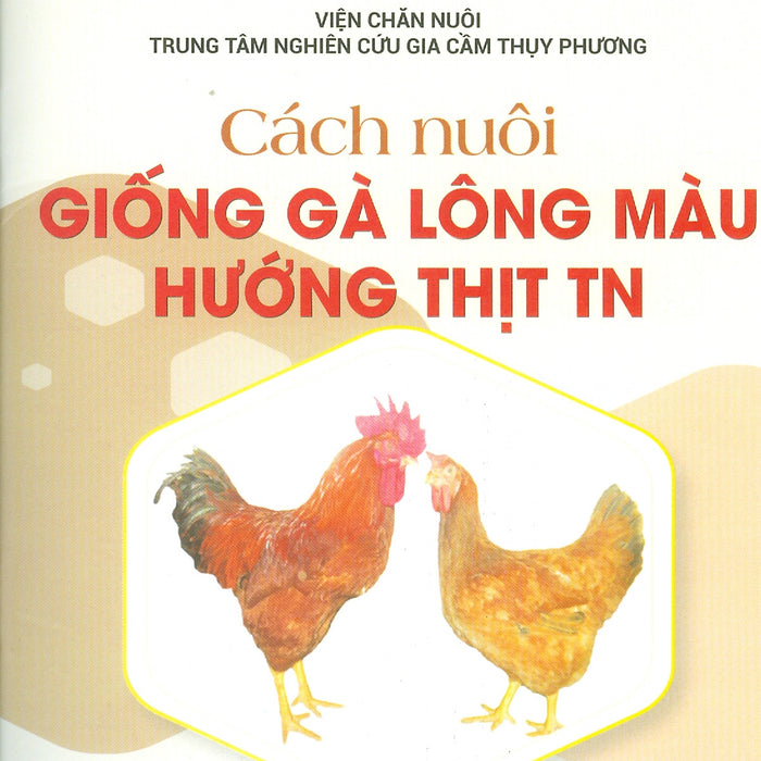 Cách Nuôi Giống Gà Lông Màu Hướng Thịt Tn