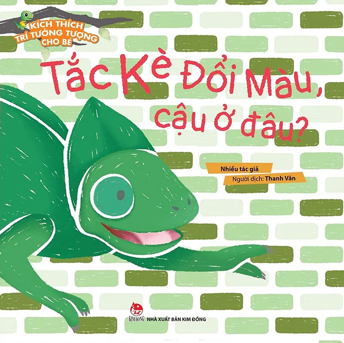 Kích Thích Trí Tưởng Tượng Cho Bé: Tắc Kè Đổi Màu, Cậu Ở Đâu?