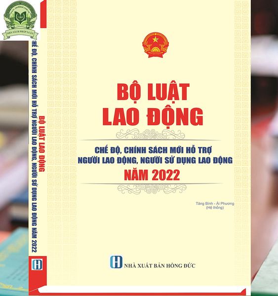 Bộ Luật Lao Động Chế Độ, Chính Sách Mới Hỗ Trợ Người Lao Động, Người Sử Dụng Lao Động Năm 2022