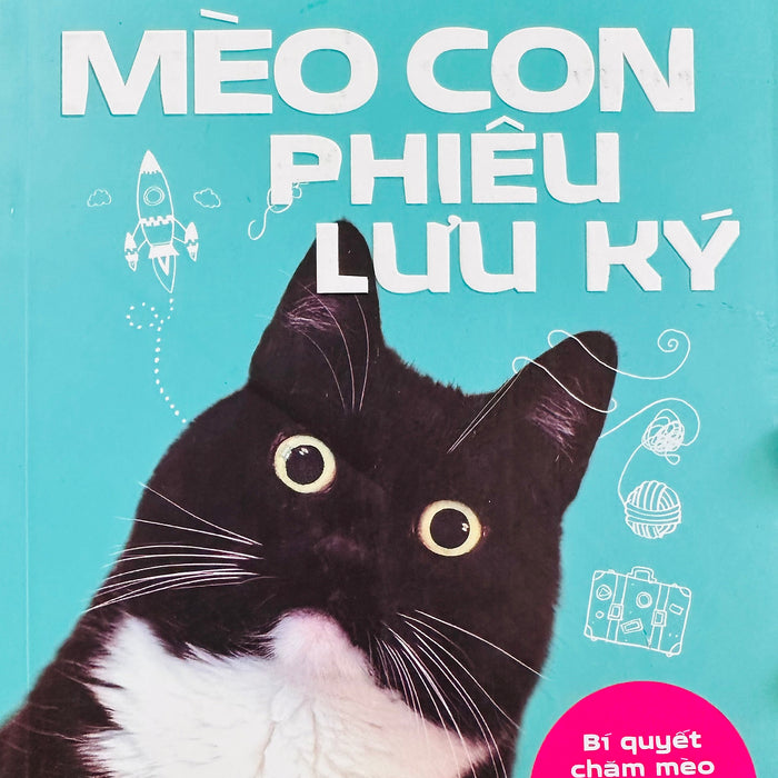 Mèo Con Phiêu Lưu Ký - The Adventures Of A Curious Cat