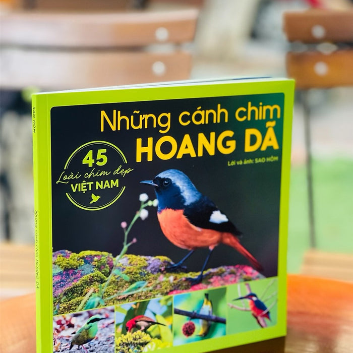 [Minh Họa In Màu] Những Cánh Chim Hoang Dã - 45 Loài Chim Đẹp Việt Nam - Sao Hôm - Nxb Kim Đồng – Bìa Mềm