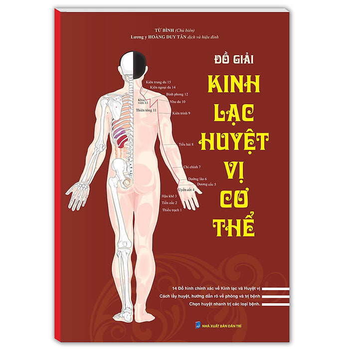 Đồ Giải Kinh Lạc Huyệt Vị Cơ Thể (Bìa Mềm) - Tái Bản