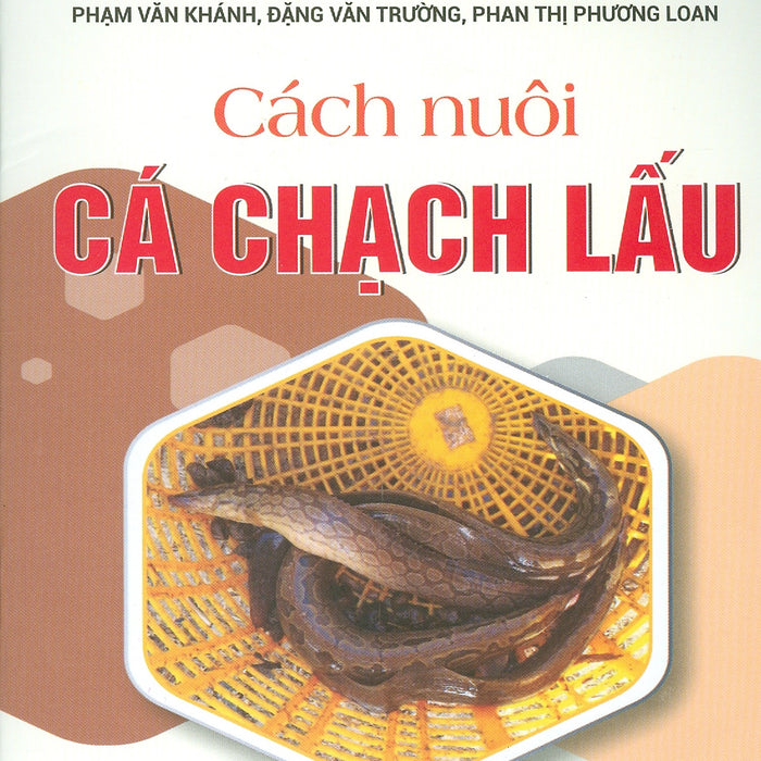 Cách Nuôi Cá Chạch Lấu