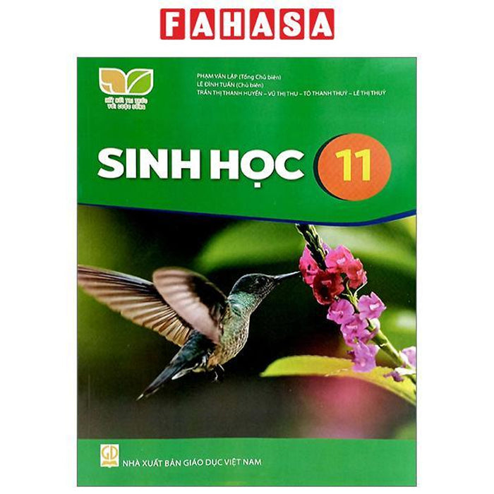 Sinh Học 11 (Kết Nối Tri Thức) (2023)