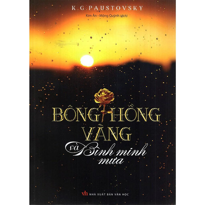 Bông Hồng Vàng Và Bình Minh Mưa