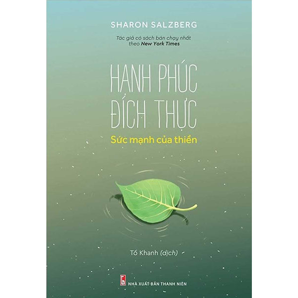 Hạnh Phúc Đích Thực - Sức Mạnh Của Thiền