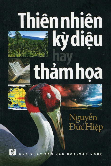 Thiên Nhiên Kỳ Diệu Hay Thảm Họa