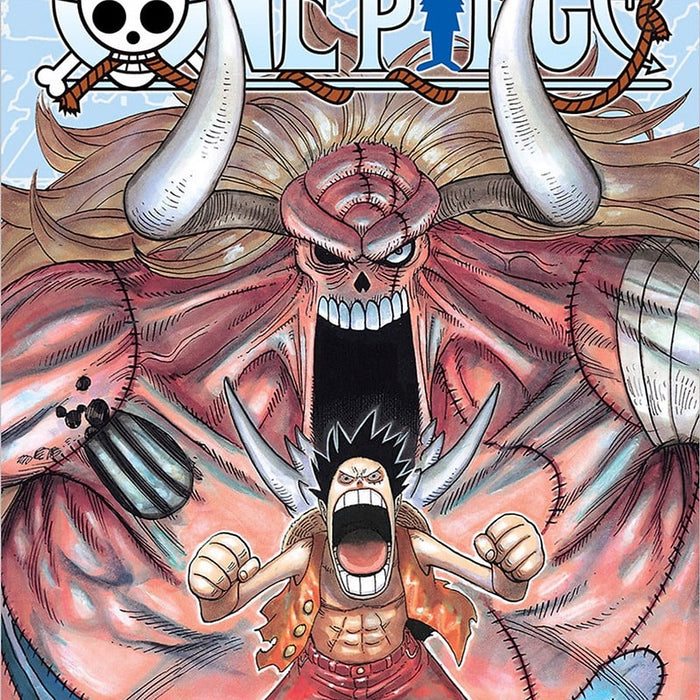 Sách - One Piece - Tập 48 (Bìa Rời, Tái Bản)