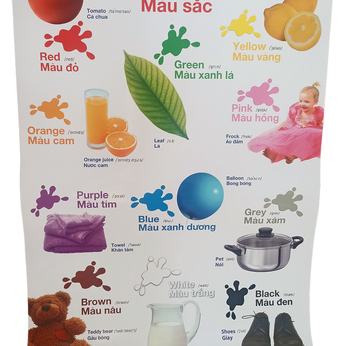 Poster Lớn - Màu Sắc (New)