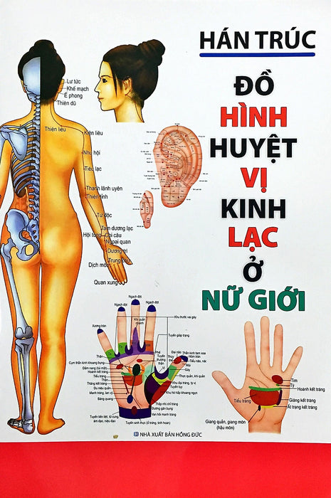 Đồ Hình Huyệt Vị Kinh Lạc (Qb)