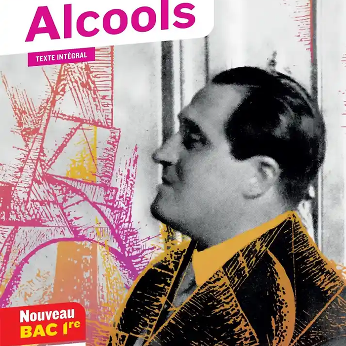 Sách Tiểu Thuyết Kèm Phân Tích Văn Học Tiếng Pháp: Alcools (Bac 2020) - Suivi Du Parcours Modernite Poetique ?