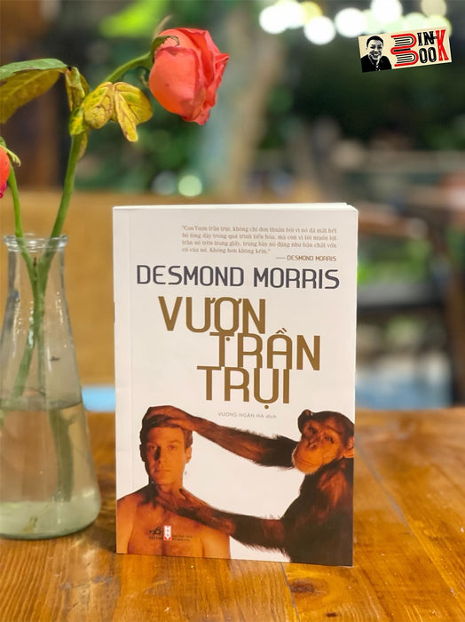 Vượn Trần Trụi – Desmond Morris – Vương Ngân Hà Dịch – Nhã Nam – Nxb Hội Nhà Văn (Bìa Mềm)