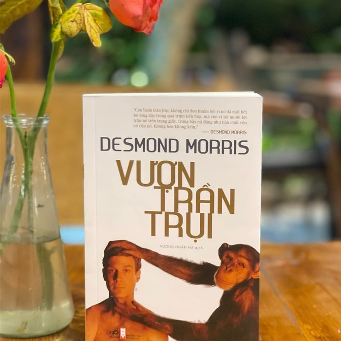 Vượn Trần Trụi – Desmond Morris – Vương Ngân Hà Dịch – Nhã Nam – Nxb Hội Nhà Văn (Bìa Mềm)