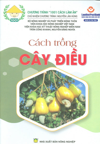 Cách Trồng Cây Điều