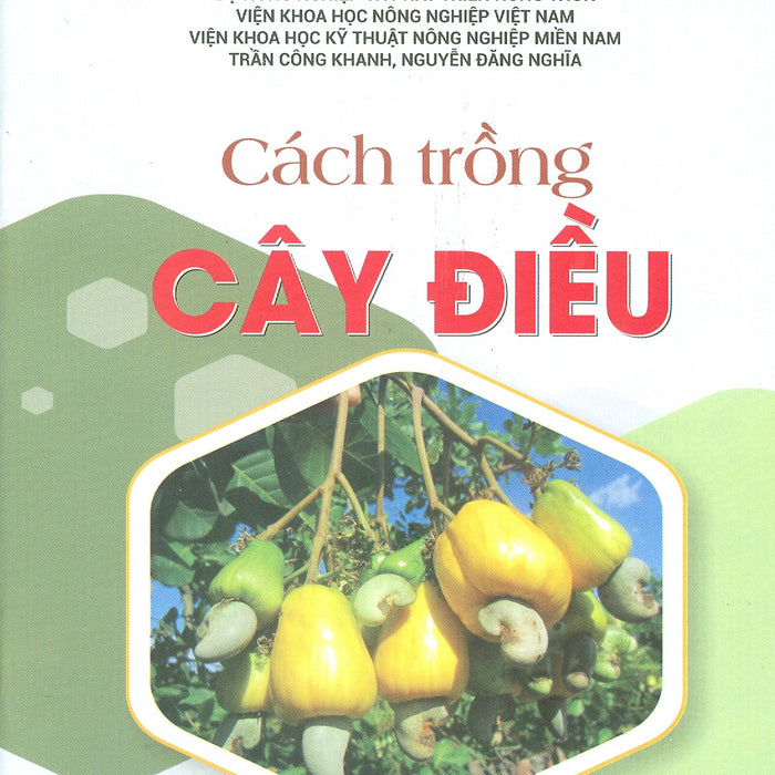 Cách Trồng Cây Điều